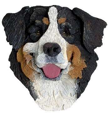 Bernese for patti web.jpg (23006 bytes)