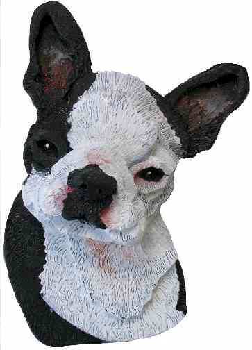 Boston Terrier 2 web.jpg (16494 bytes)